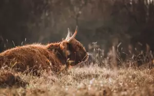 Jak Zjistit Majitele Nemovitosti